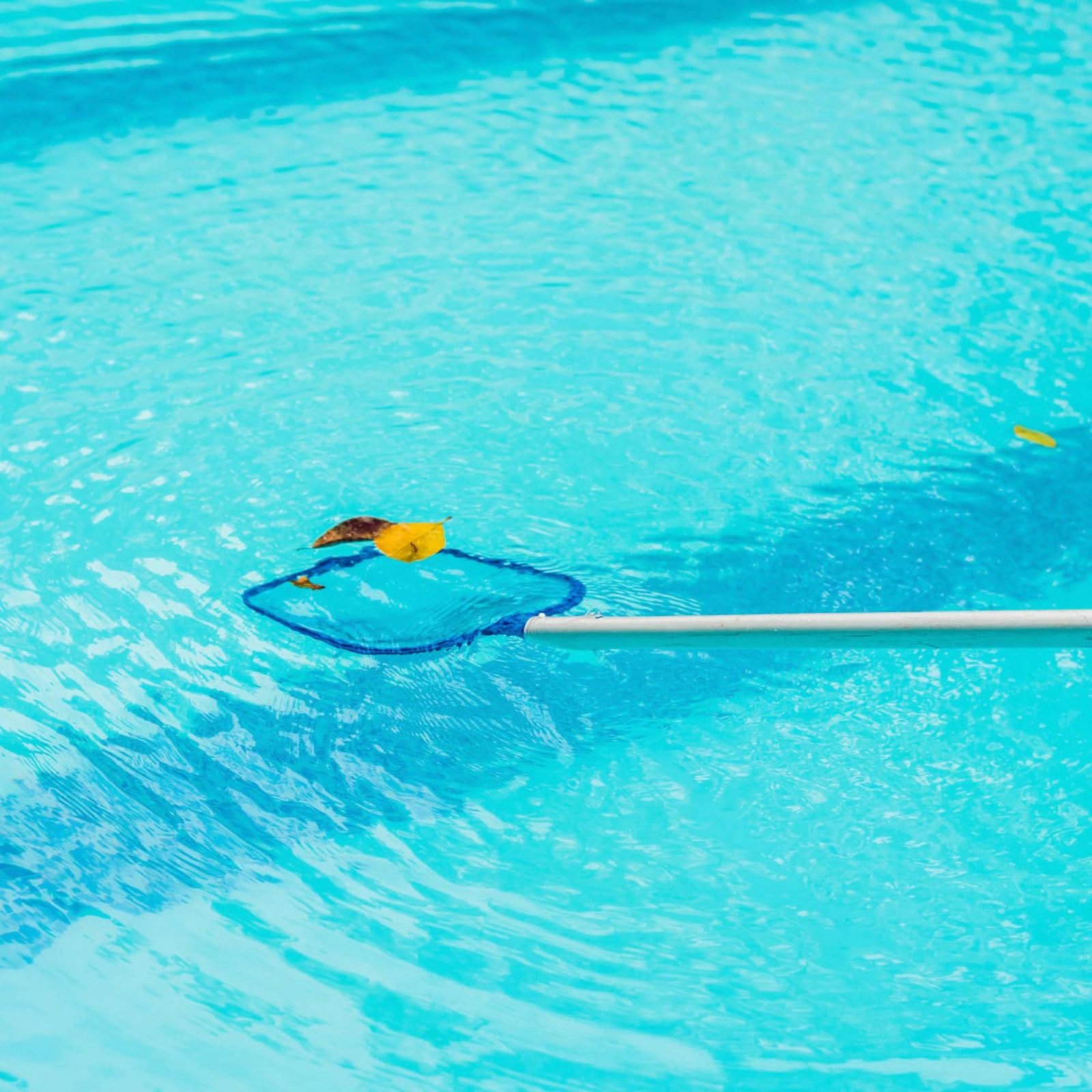 Abnehmbares Pool-Blattfangnetz – Pool Skimmer Net Bewertung und Preis