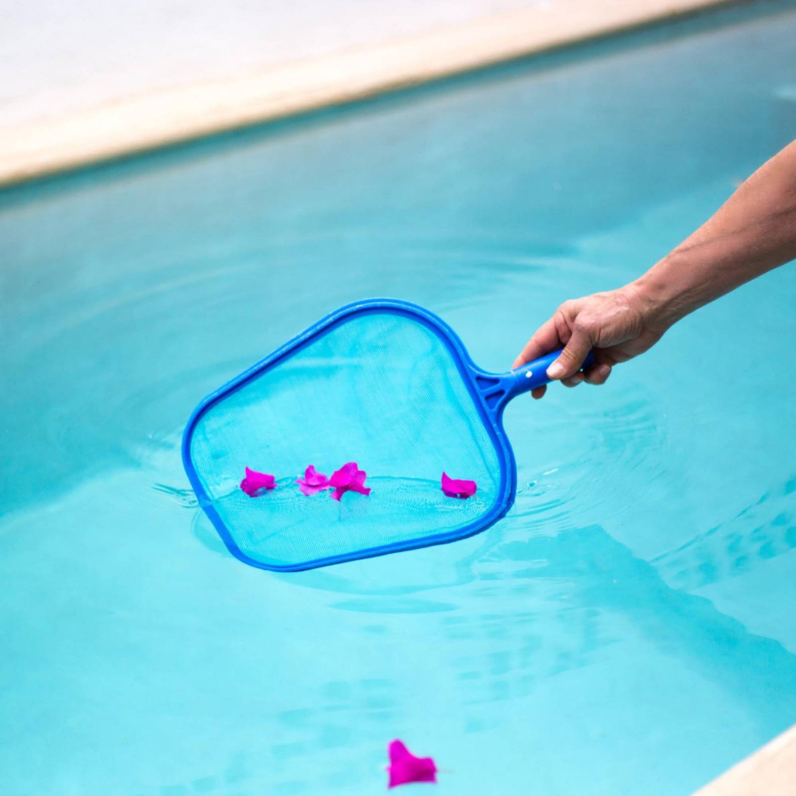 Abnehmbares Pool-Blattfangnetz – Pool Skimmer Net Bewertung und Preis