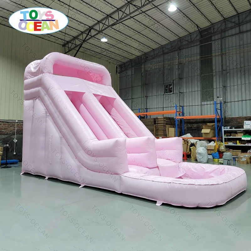 Professionelle Rosa Doppelbahn – Water Slide Inflatable Bewertung und Preis